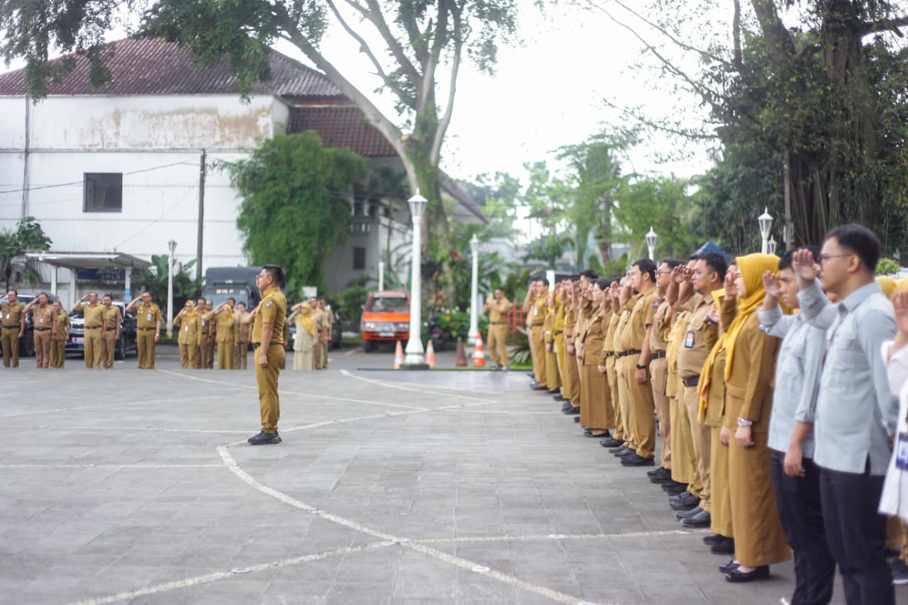 1768207349_WhatsApp Image 2026-01-05 at 12.37.10.jpeg